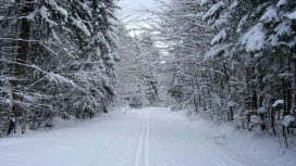 高清晰雪路壁纸