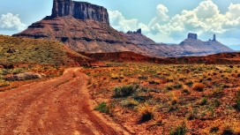 高清晰沙漠植物戈壁壁纸