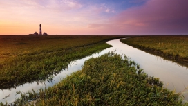 夕阳下的分叉小河