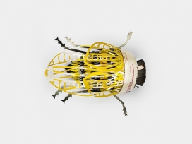 再生的昆虫世界