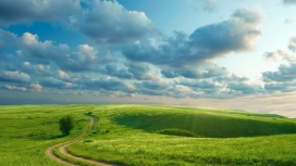 高清晰山上草路