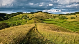 高清晰绿山小路美景