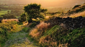 高清晰田园小路美景