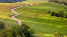 高清晰绿色草坪山丘弯曲小路美景