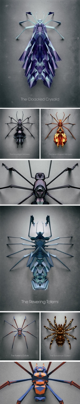 Biotop from Polygonia-几何菱形昆虫插画