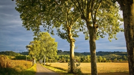 高清晰乡村小道壁纸