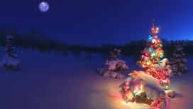高清晰圣诞树夜景壁纸