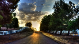 太阳下的围栏云树路