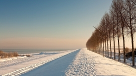 高清晰冬季雪路树壁纸