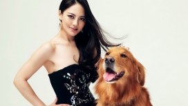 Ailee樊蕊与狗桌面壁纸下载