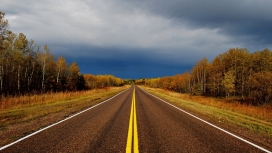 秋天的森林公路