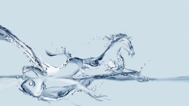 高清晰水花骏马与金鱼