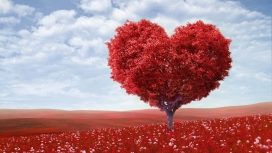 高清晰红色爱心树壁纸