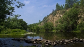 尼斯河的石头和悬崖树