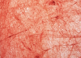 高清晰暗红划痕纹理墙纸壁纸