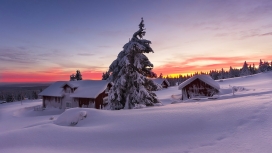 高清晰最美冬季雪景自然桌面壁纸下载