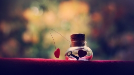 爱心瓶-爱的象征