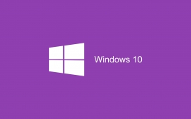 高清晰紫色Windows 10系统主题桌面壁纸下载