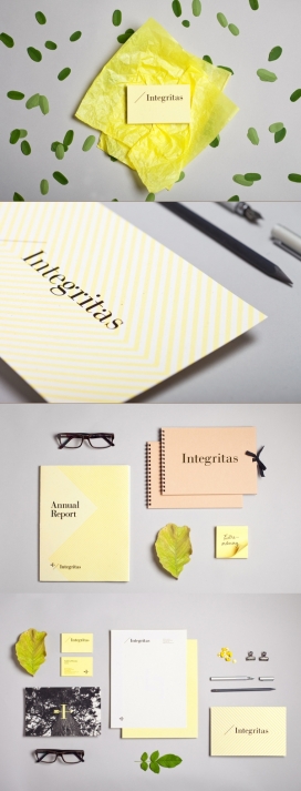 Integritas投资公司品牌宣传册设计