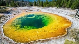 高清晰黄色石头牵牛花地陷天坑壁纸