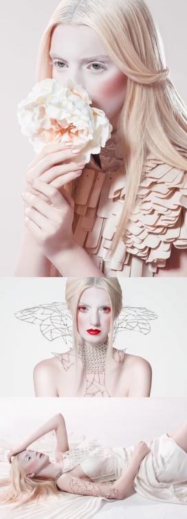 “猫头鹰”夫人