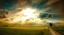 阳光明媚的下午