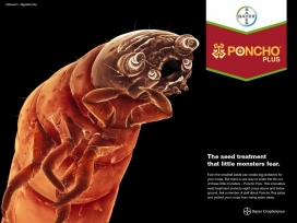 拜耳口腔疾病平面广告