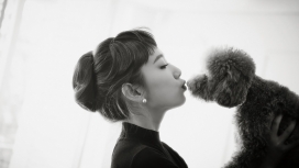 与狗亲密的Park Shin Hye朴信惠壁纸下载