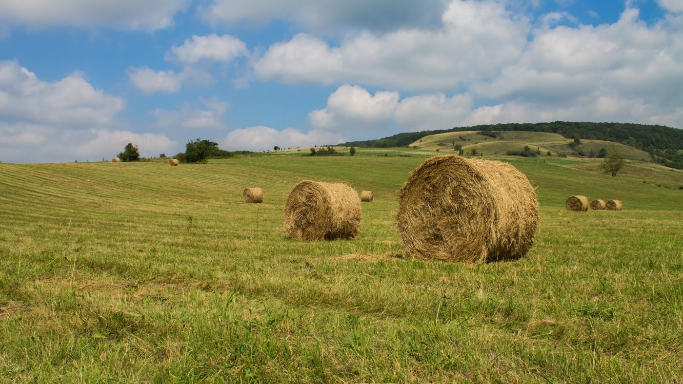 蓝天白云下的干草包壁纸图片