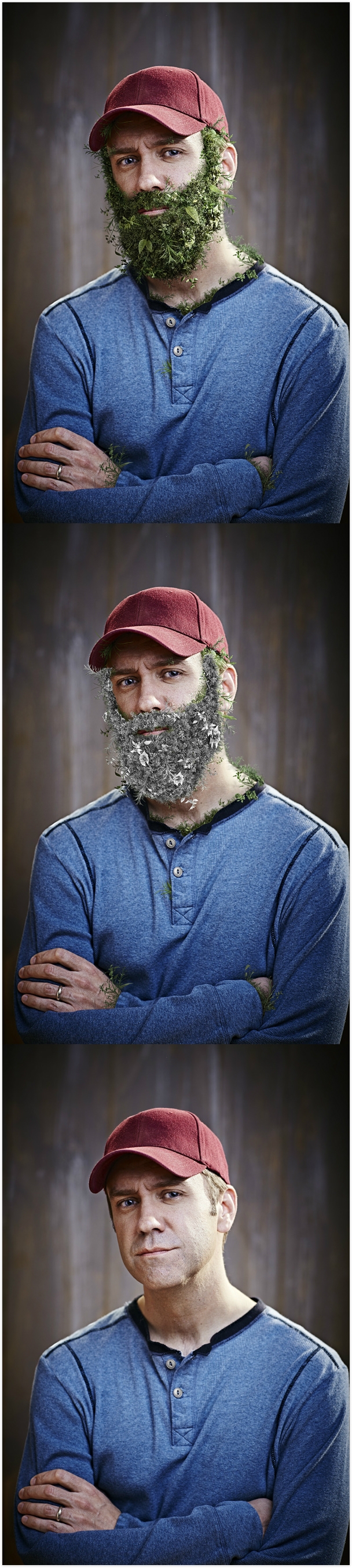 杂草的胡须图片