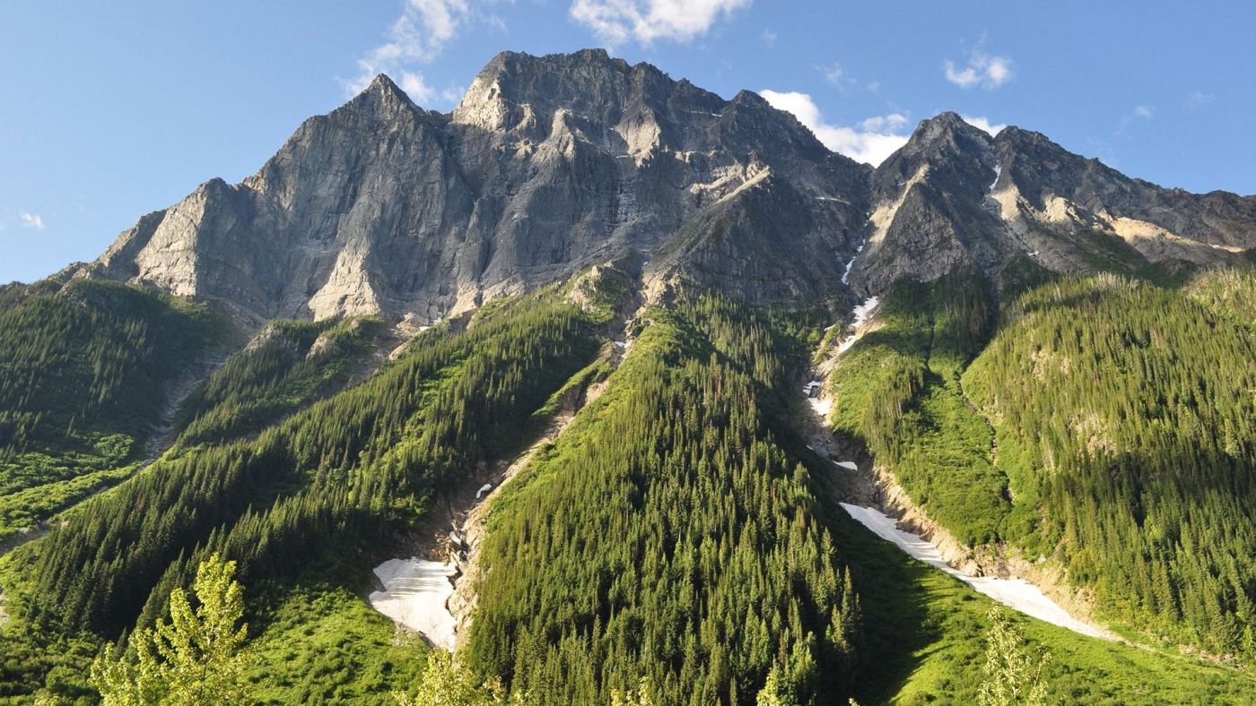 高清晰山脚下的绿色小路图片