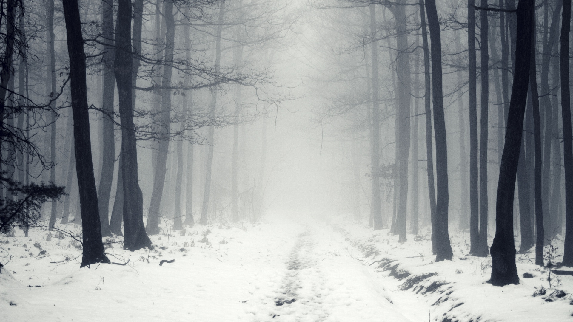 冬季大雾天的桂林龙脊梯田|摄影|风光|yuyy72yang - 原创作品 - 站酷 (ZCOOL)