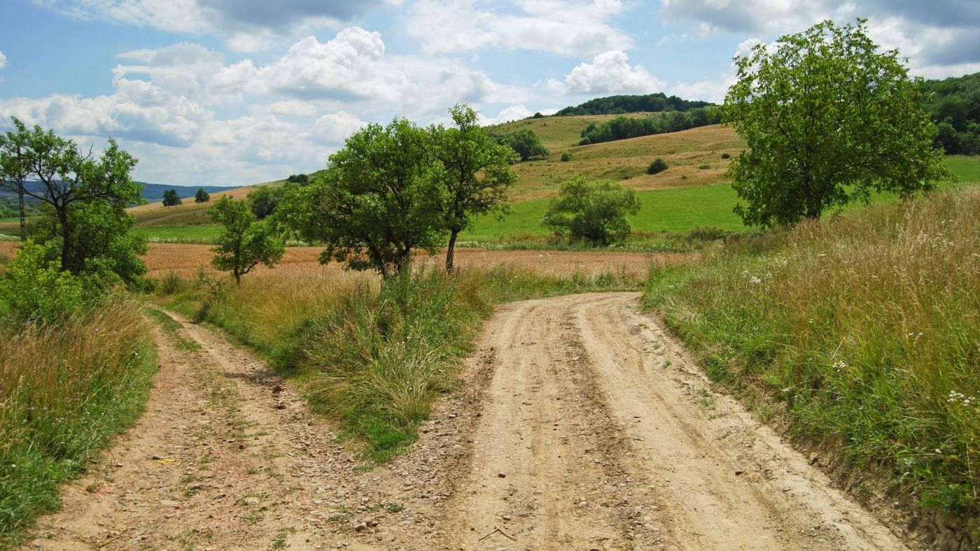 山草树黄泥叉道口图片
