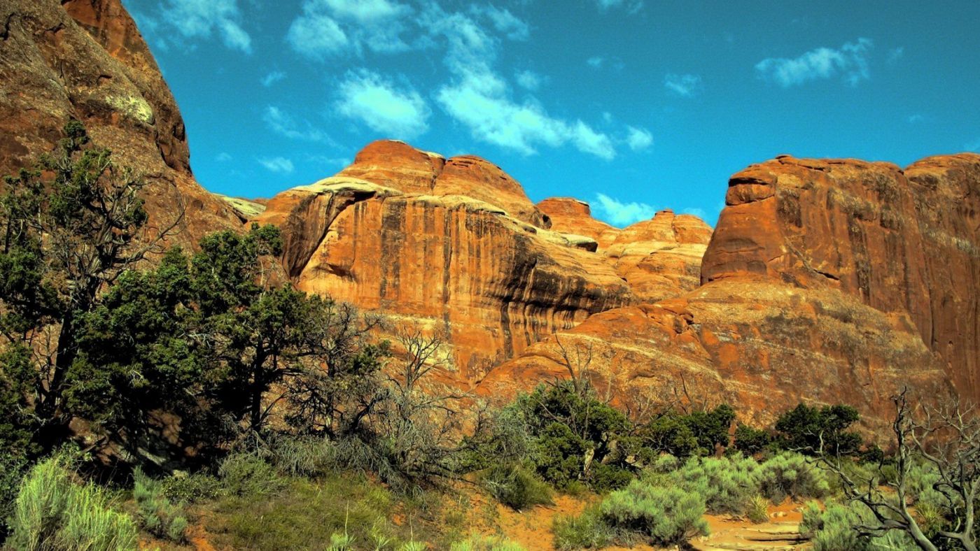 犹他州莫阿布魔鬼戈壁峡谷花园图片