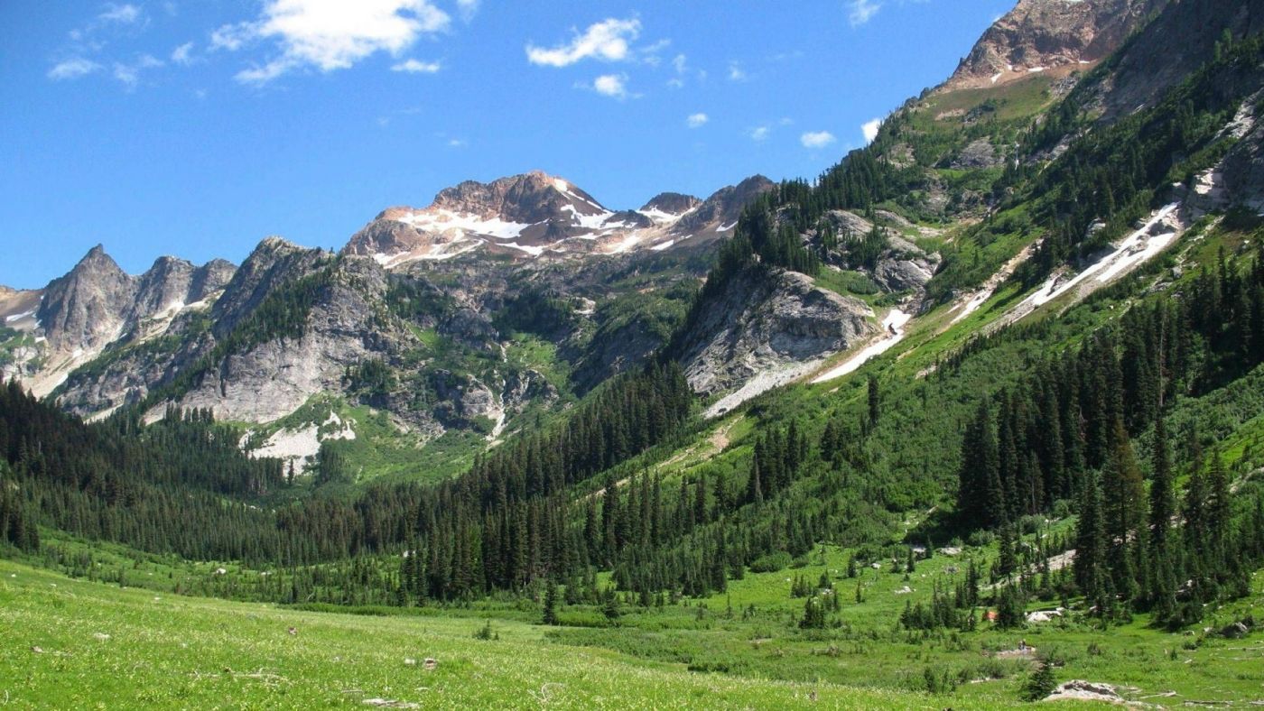 华盛顿蜘蛛草甸州峰峦壁纸图片