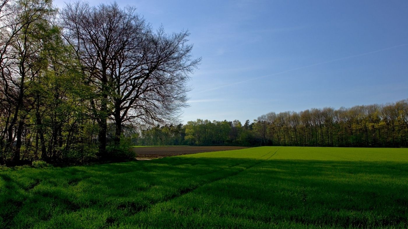 天空下的耕地草地森林图片