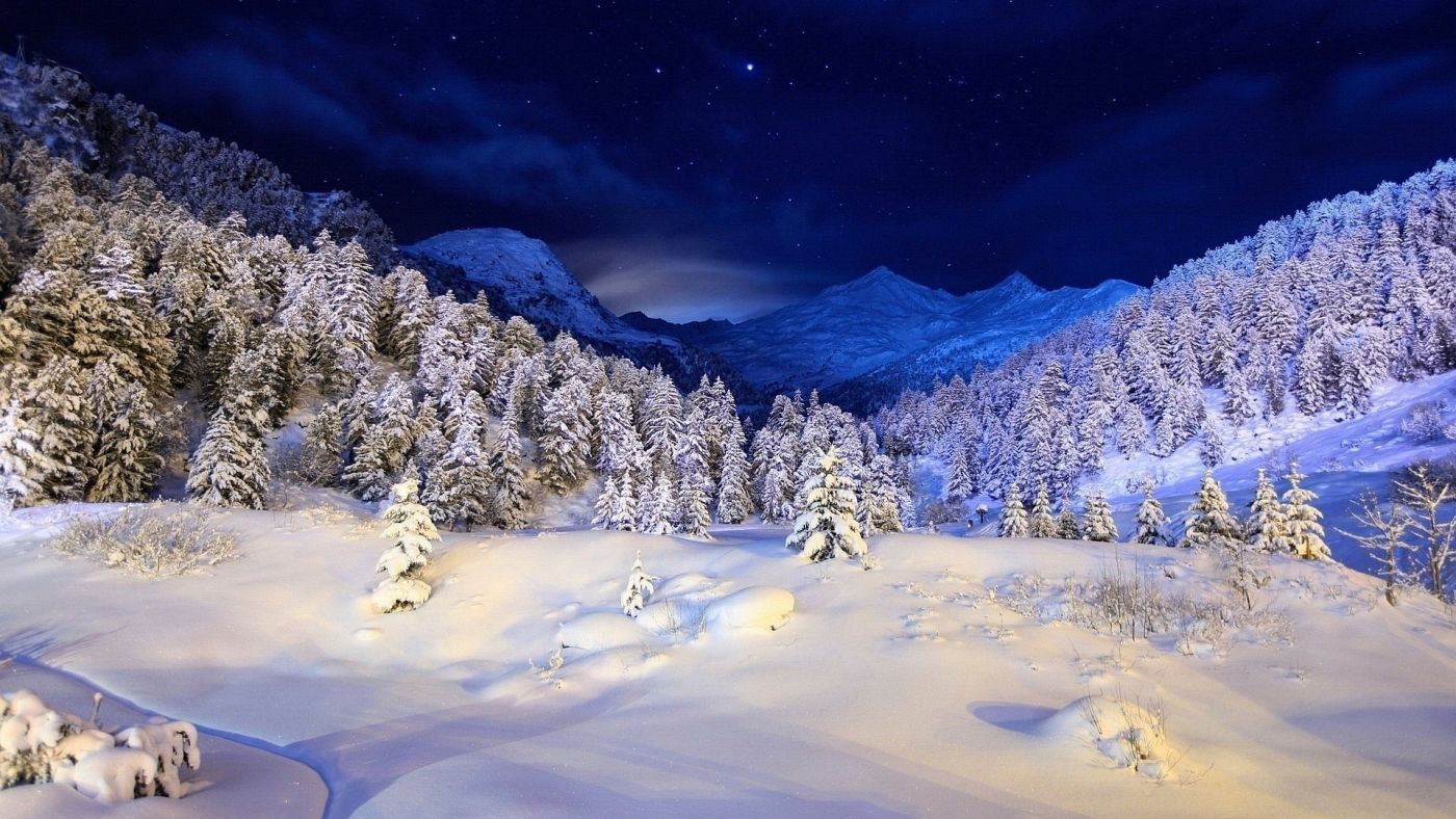 令人惊叹的雪树木蓝色之夜 手机移动版