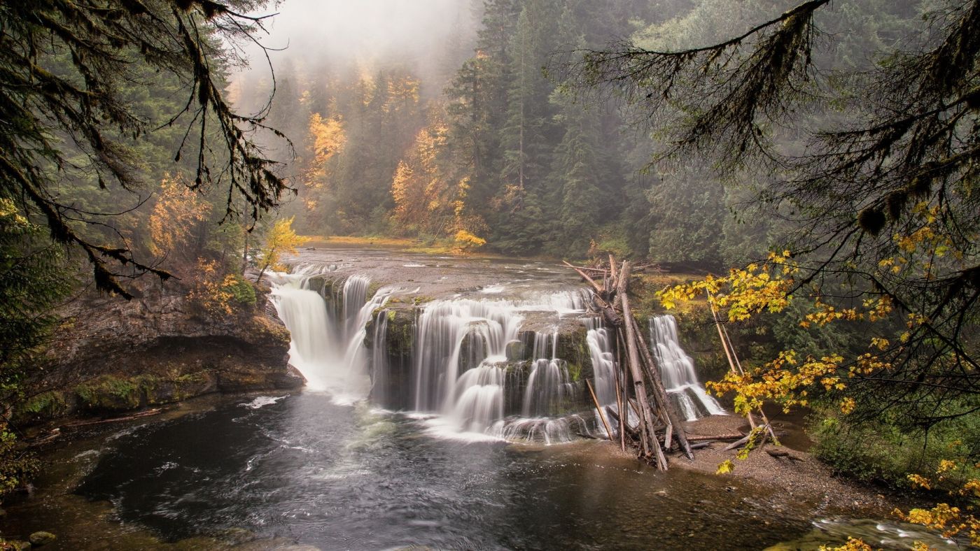 森林河木瀑布图片