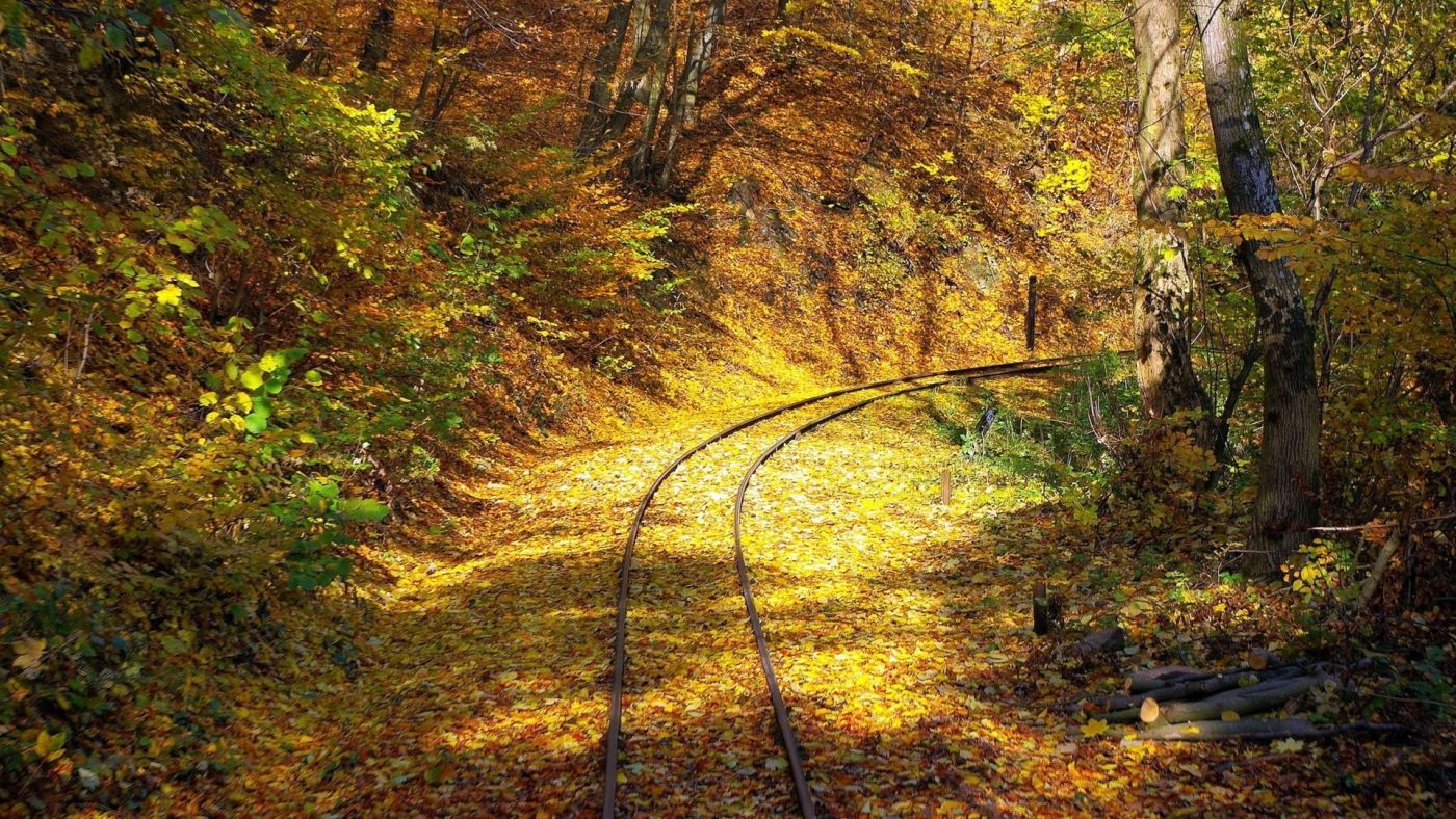 晴天的秋季森林铁路图片下载 - 觅知网
