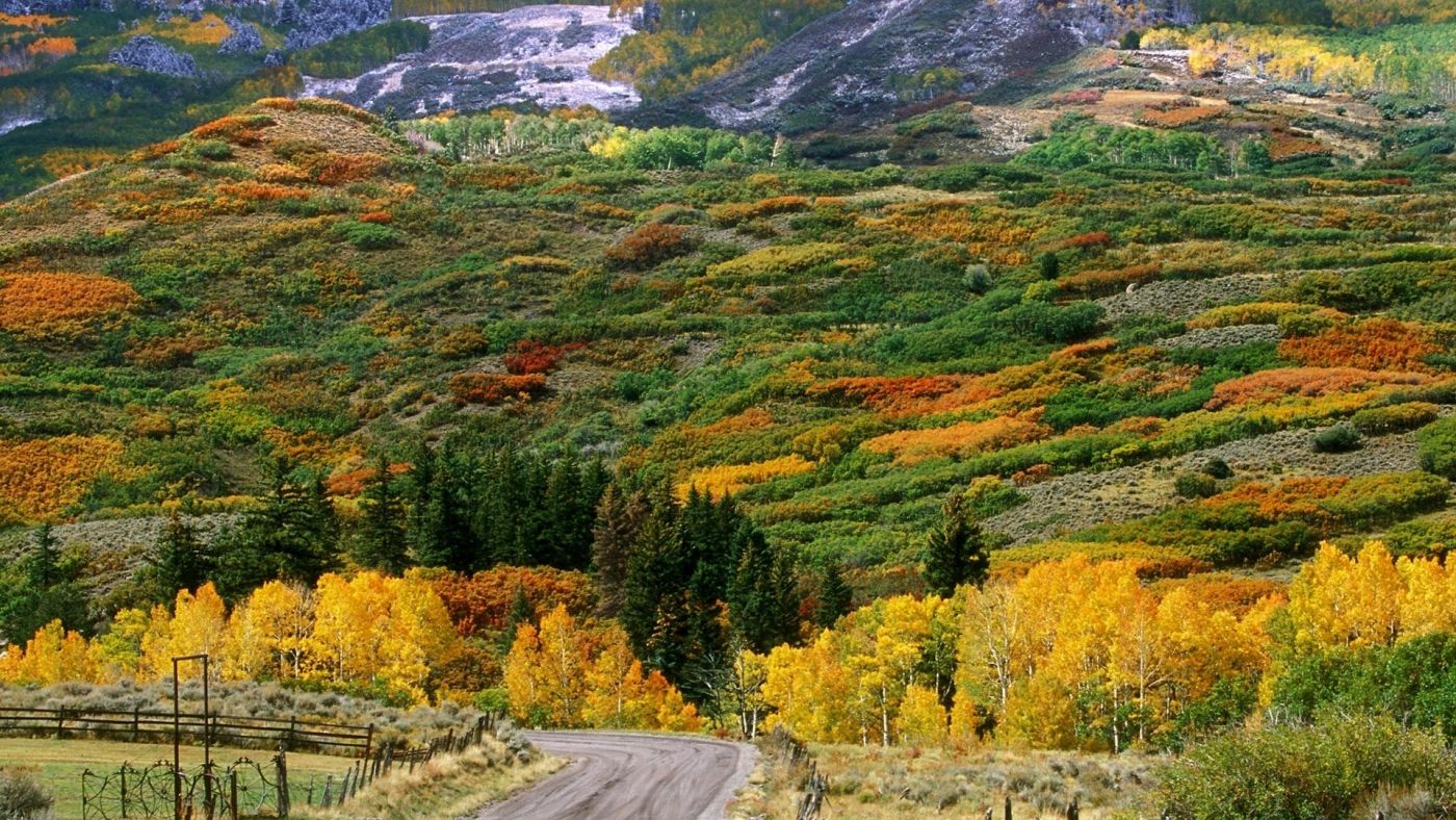 秋天的山道栅栏树木图片