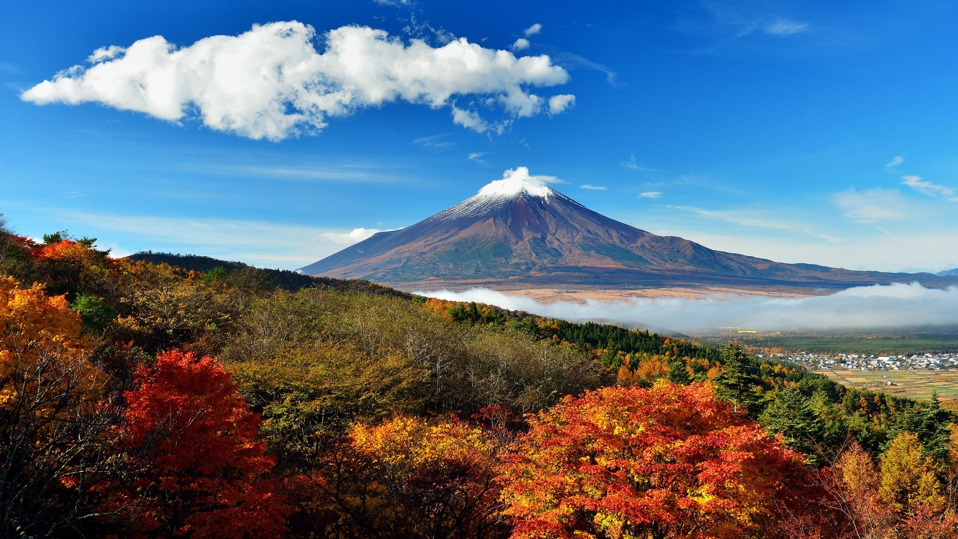 高清晰蓝天白云下的日本富士山壁纸 欧莱凯设计网 2008php Com