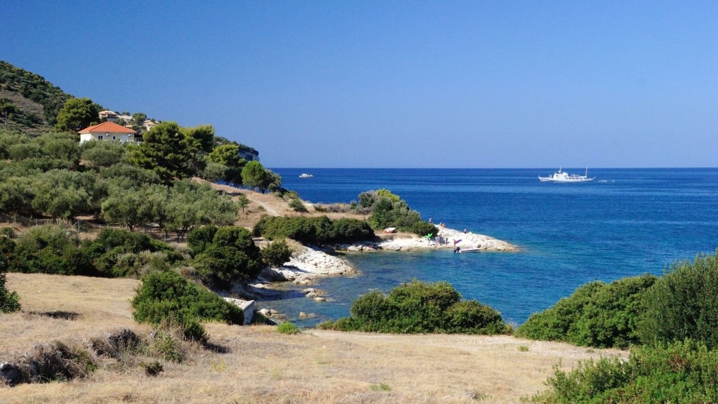 漂亮的海树府湾图片