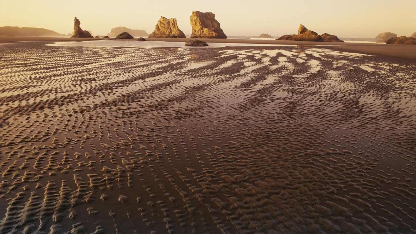 可爱的潮滩岩图片