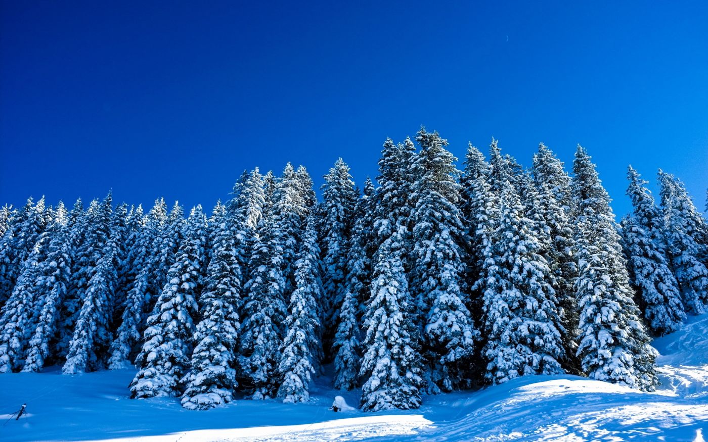唯美蓝色雪景图片素材-编号27113608-图行天下