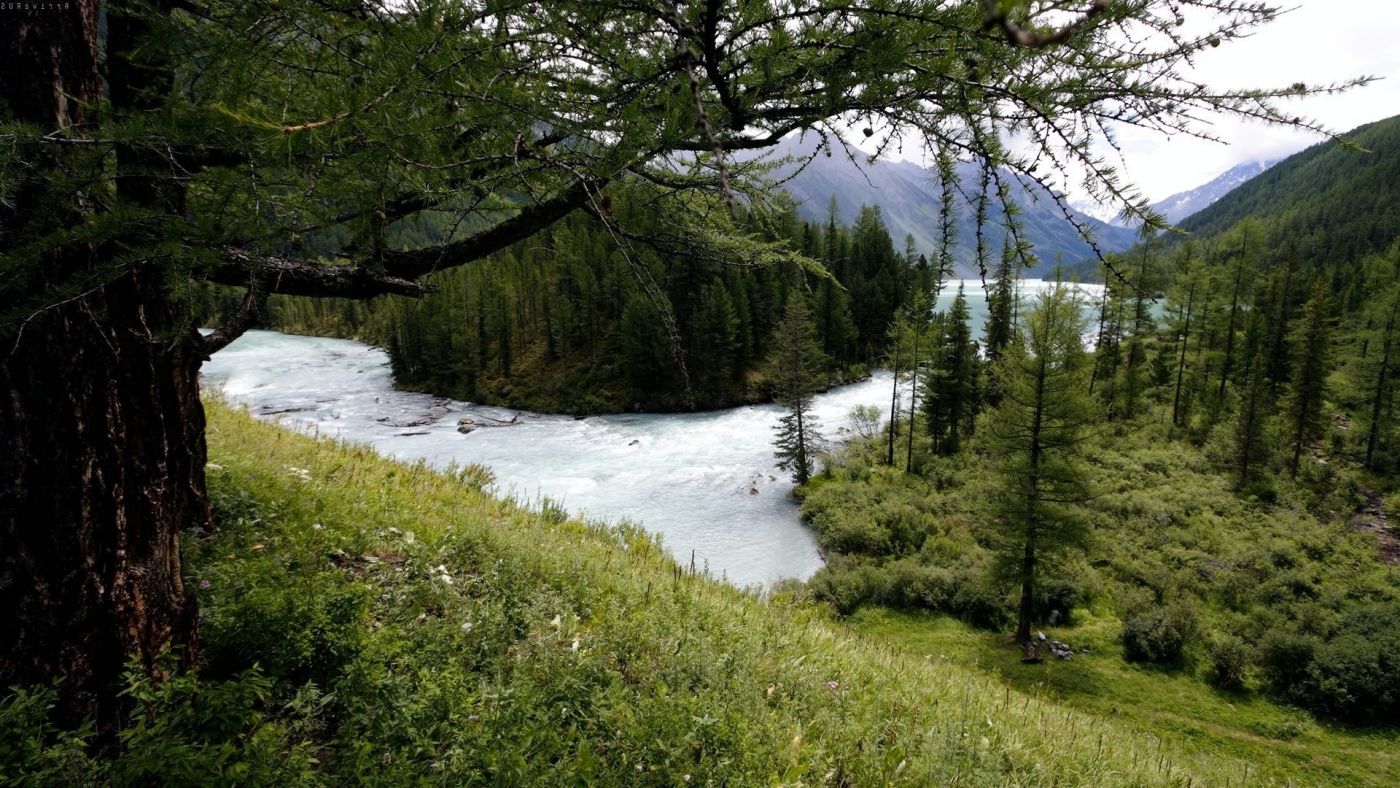 绿林河壁纸图片