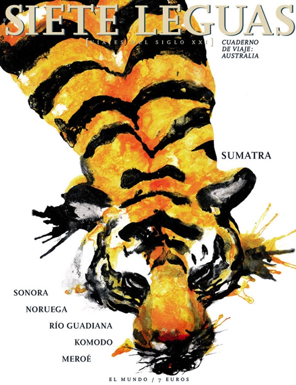 Magazines-插画设计图片