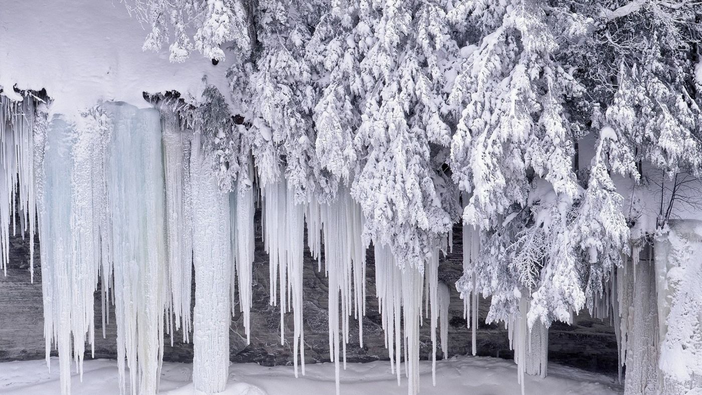 高清晰结冰的雪树壁纸 手机移动版