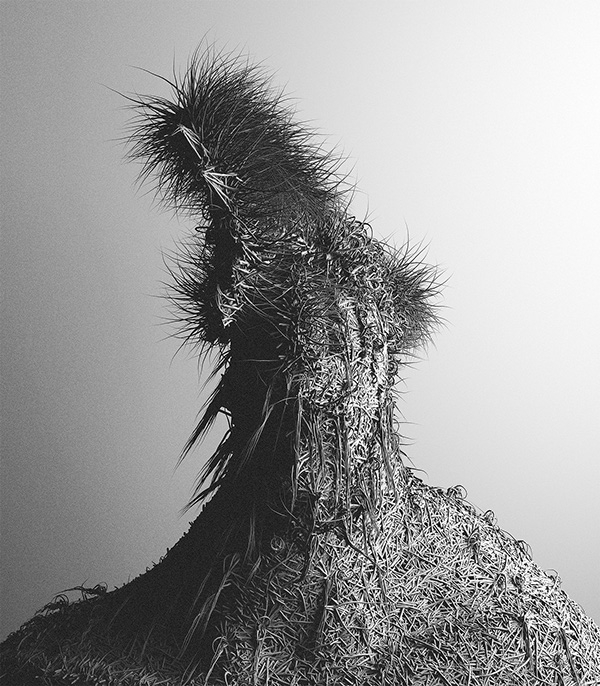 Fur V-异常人形毛皮毛草图片