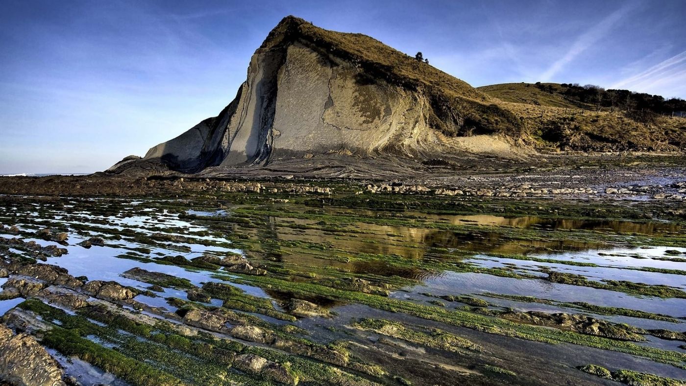 长满青苔的石壁图片