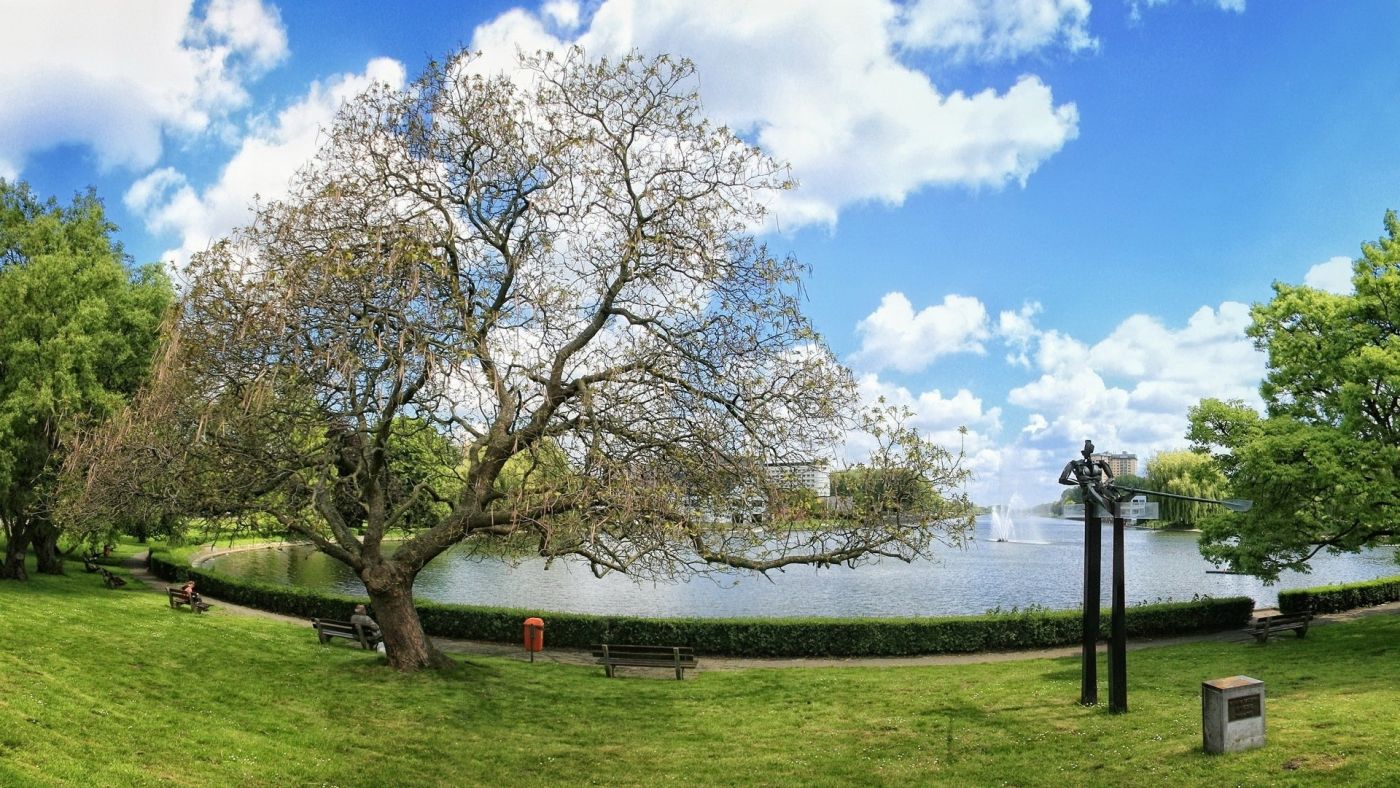 蓝天白云下的绿色公园长椅壁纸图片